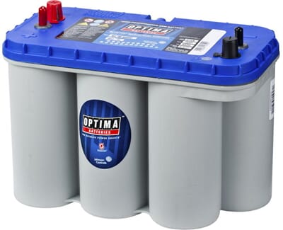 BAT8052188.jpg (large).jpg